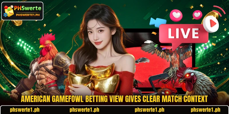 American Gamefowl betting view gives clear match context American Gamefowl betting view gives clear match context