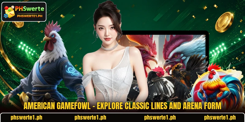 American Gamefowl - Explore Classic Lines And Arena Form