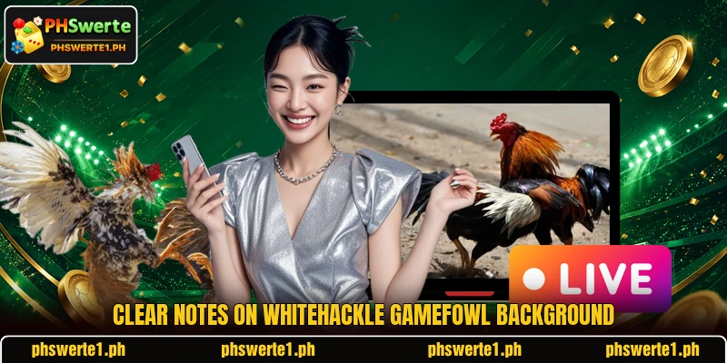 Clear notes on Whitehackle Gamefowl background Clear notes on Whitehackle Gamefowl background