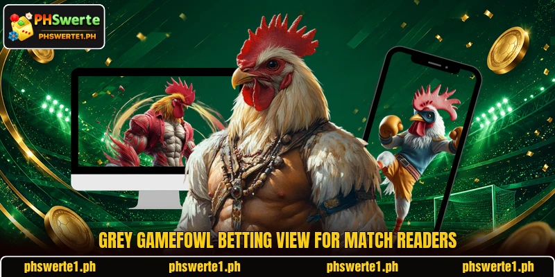 Grey Gamefowl betting view for match readers