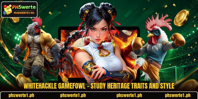 Whitehackle Gamefowl - Study Heritage Traits And Style